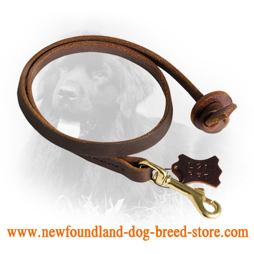 Short Leather Newfoundland Leash for Training