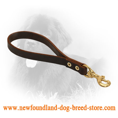 Pull Tab Leather Newfoundland Leash