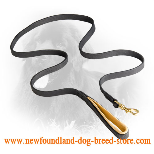 Durable Newfoundland Leash with Soft Padded Handle 