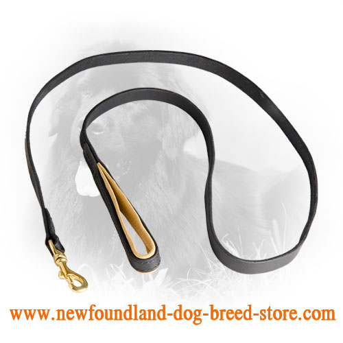 Newfoundland Leash for Training