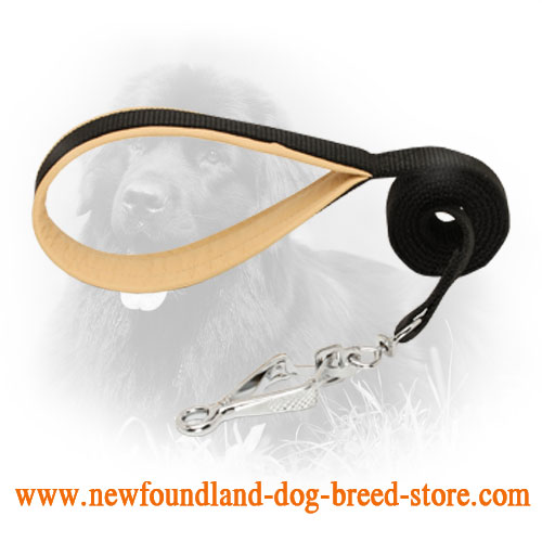 Nylon Newfoundland Leash with Snap Hook