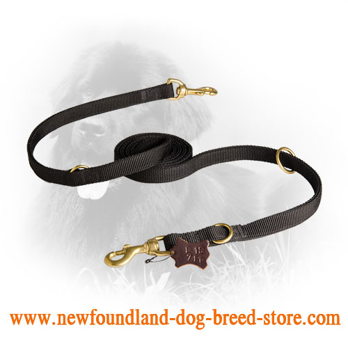 Newfoundland  Leash with Brass Snap Hook