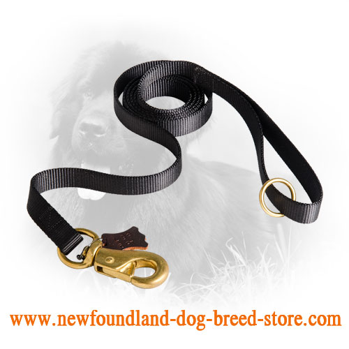 Newfoundland Leash with Brass Hardware