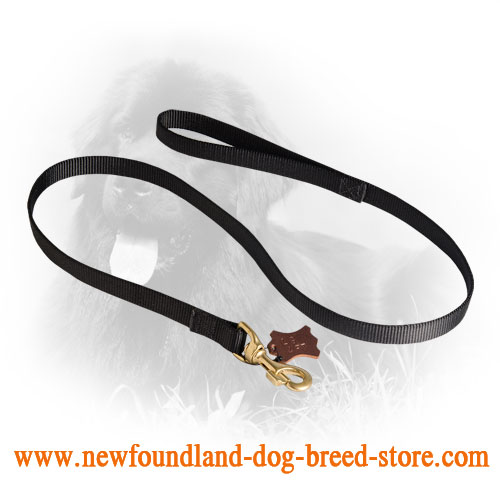 Newfoundland Leash for Tracking Work