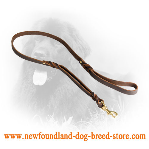 Newfoundland Leather Leash with Decorative Braids