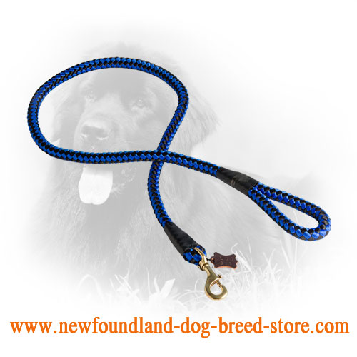 Newfoundland Nylon Leash with Chess Design