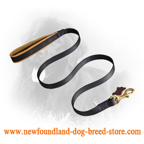 Newfoundland Leash for Training and Walking