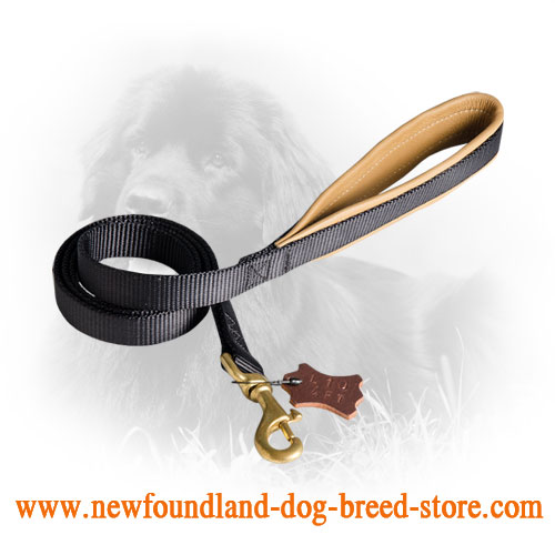 Durable Newfoundland Leash with Soft Padded Handle 