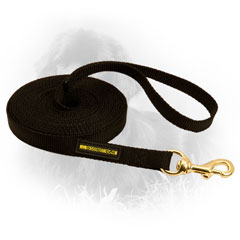 Newfoundland Nylon Leash Bad Weather