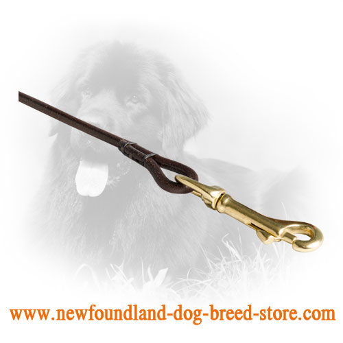 Brass Snap Hook on Leather Newfoundland Leash