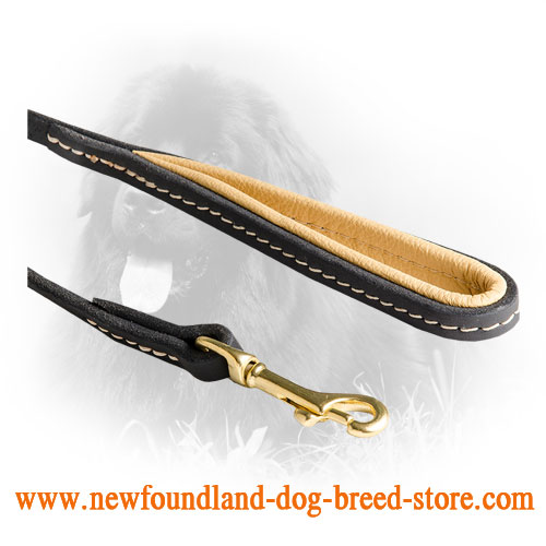 Strong Snap Hook on Leather Newfoundland Leash 