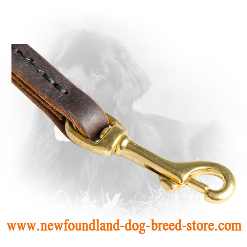 Brass Snap Hook on Leather Newfoundland Leash
