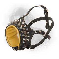 Modish Leather Dog Muzzle With Handset Spikes And Studs