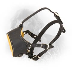 No-Doubt Quality Leather Dog Muzzle