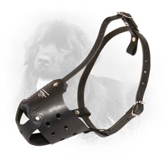 Gorgeous Everyday Solid Leather Handmade Dog Muzzle