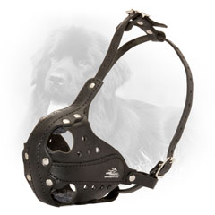 Leather Dog Muzzle for Police Work