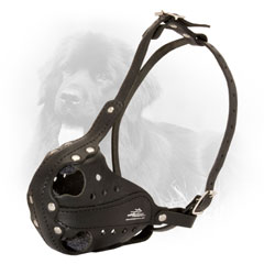 Leather Dog Muzzle for Easy Training