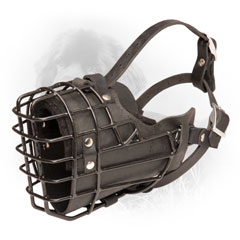 Black Leather Dog Muzzle with Adjustable Straps