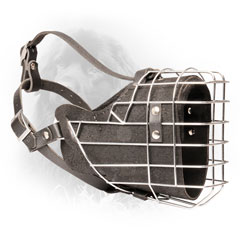 Soft Nappa Padded Leather Dog Muzzle