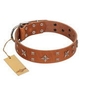 "Dreamy Gleam" FDT Artisan Tan Leather Newfoundland Collar Adorned with Stars and Squares