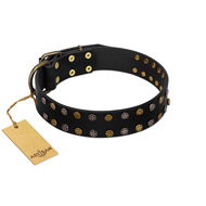 "Star Way" FDT Artisan Black Leather Newfoundland Collar with Bronze-like and Silver-like Star Studs