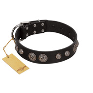 "Tricky Ricky" FDT Artisan Black Leather Newfoundland Collar Adorned with Silver-Like Conchos
