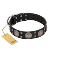 "Sun in Shining" Modern FDT Artisan Black Leather Newfoundland Collar with Studs and Stars
