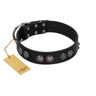 "Silver Medallions" Mod FDT Artisan Black Leather Newfoundland Collar with Round Plates