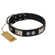 "Grand Wear" FDT Artisan Black Leather Newfoundland Collar with Shining Plates and Spiked Studs