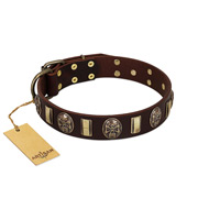 "Skull's Adventure" FDT Artisan Brown Leather Newfoundland Collar with Plates and Ovals  "Skull's Adventure" FDT Artisan Brown Leather Newfoundland Collar with Plates and Ovals