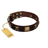 "Crazy Pirate" FDT Artisan Brown Leather Newfoundland Collar with Old Bronze-Plated Skulls and Plates
