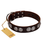 "High and Mighty" FDT Artisan Classy Brown Leather Newfoundland Collar with Embellished Brooches