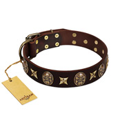 "Captain Hook" FDT Artisan Brown Leather Newfoundland Collar with Stars and Skulls