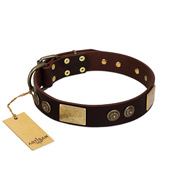 "Bow-Wow Effect" FDT Artisan Brown Leather Newfoundland Collar with Plates and Ornate Studs