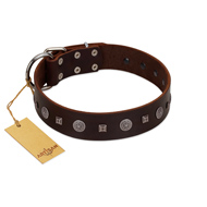"Pure Sensation" Exclusive FDT Artisan Brown Leather Newfoundland Collar with Fancy Brooches and Studs