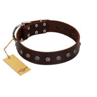 "Graceful Classic" Mod FDT Artisan Brown Leather Newfoundland Collar