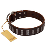 "Brown Lace" Handmade FDT Artisan Brown Leather Newfoundland Collar for Everyday Walks