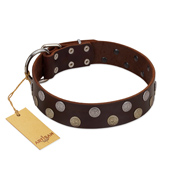 "Shadow Warrior" FDT Artisan Mystic Brown Leather Newfoundland Collar with Runes