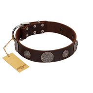 "Flashy Woof" FDT Artisan Brown Leather Newfoundland Collar with Chrome Plated Brooches