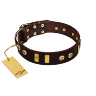 "Lord of Dogs" FDT Artisan Brown Leather Newfoundland Collar with Old Bronze-like Dotted Studs and Tiles