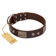 "Stone Stars" Stylish Handmade FDT Artisan Brown Leather Newfoundland Collar