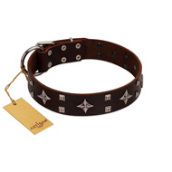 "Trendy Candy" FDT Artisan Brown Leather Newfoundland Collar Adorned with Stars and Tiny Squares