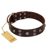 "Skull Valley" Handcrafted FDT Artisan Brown Leather Newfoundland Collar with Skulls