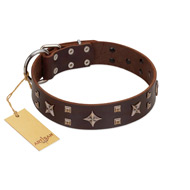 "Stars in Sands" Modern FDT Artisan Brown Leather Newfoundland Collar with Studs and Stars