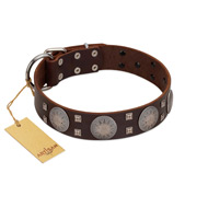 "Sun in Barchans" Modern FDT Artisan Brown Leather Newfoundland Collar with Engraved Stars on Round Plates and Studs