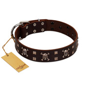 "Menacing Allure" FDT Artisan Brown Leather Newfoundland Collar Embellished with Silvery Crossbones and Square Studs