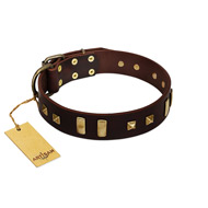 "Choco Delight" FDT Artisan Brown Leather Newfoundland Collar with Old Bronze-like Plates and Studs
