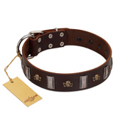 "War Chief" FDT Artisan Genuine Brown Leather Newfoundland Collar with Skulls and Plates