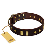 "Blinking Illusion" FDT Artisan Brown Leather Newfoundland Collar with Old Bronze-like Studs and Plates