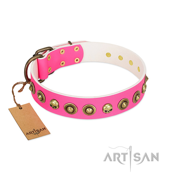 Inimitable natural leather dog collar with reliable adornments